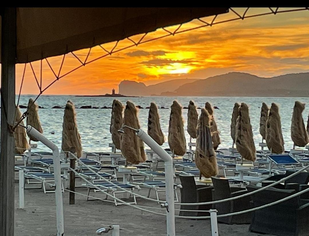 Sole